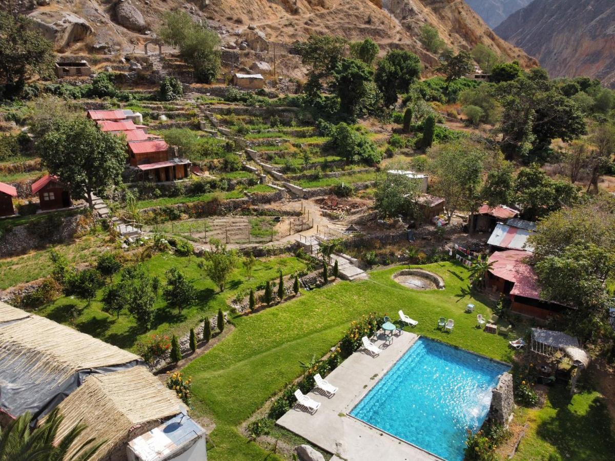 Oasis Paraiso Ecolodge Cabanaconde Εξωτερικό φωτογραφία