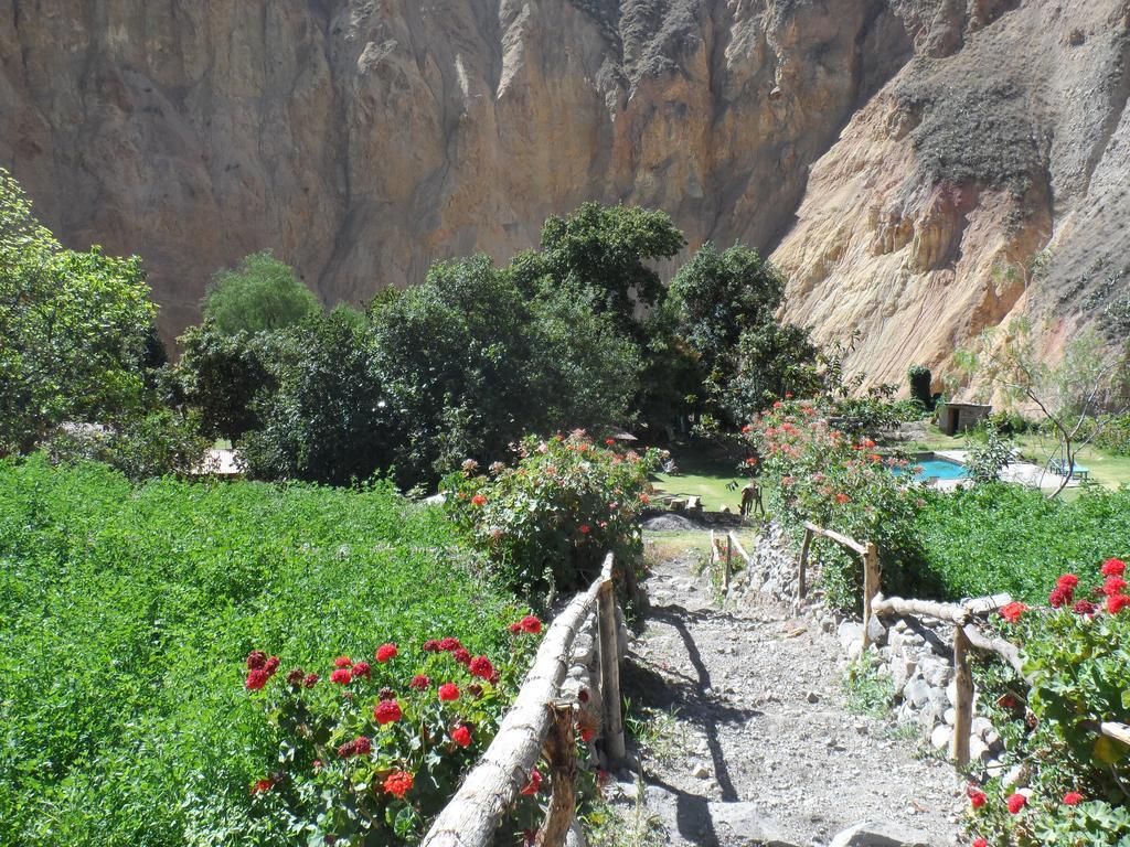Oasis Paraiso Ecolodge Cabanaconde Εξωτερικό φωτογραφία
