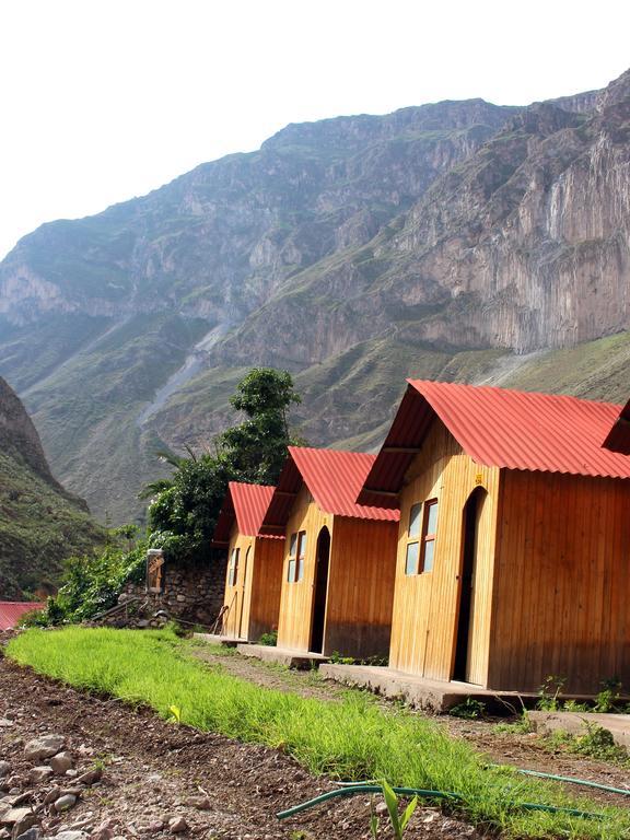 Oasis Paraiso Ecolodge Cabanaconde Εξωτερικό φωτογραφία