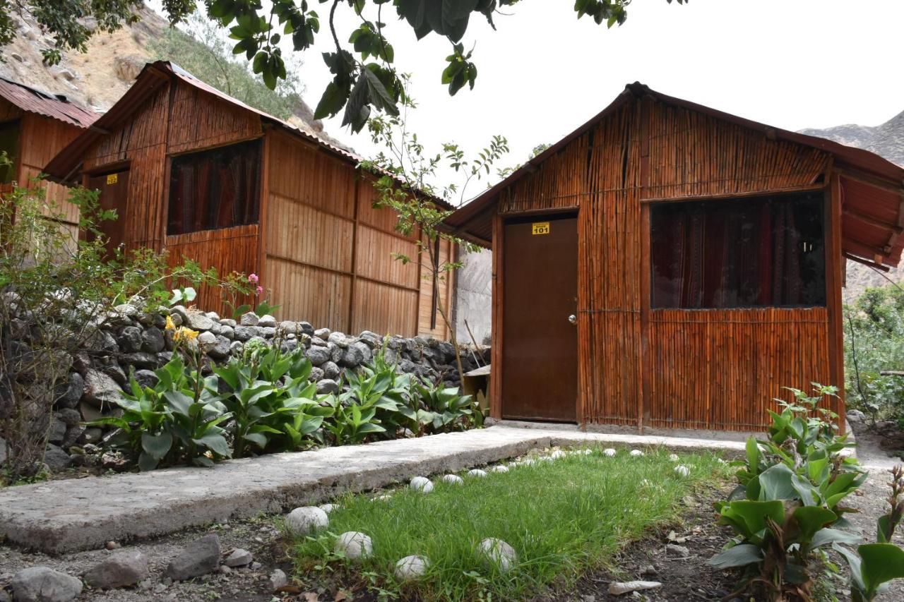 Oasis Paraiso Ecolodge Cabanaconde Εξωτερικό φωτογραφία