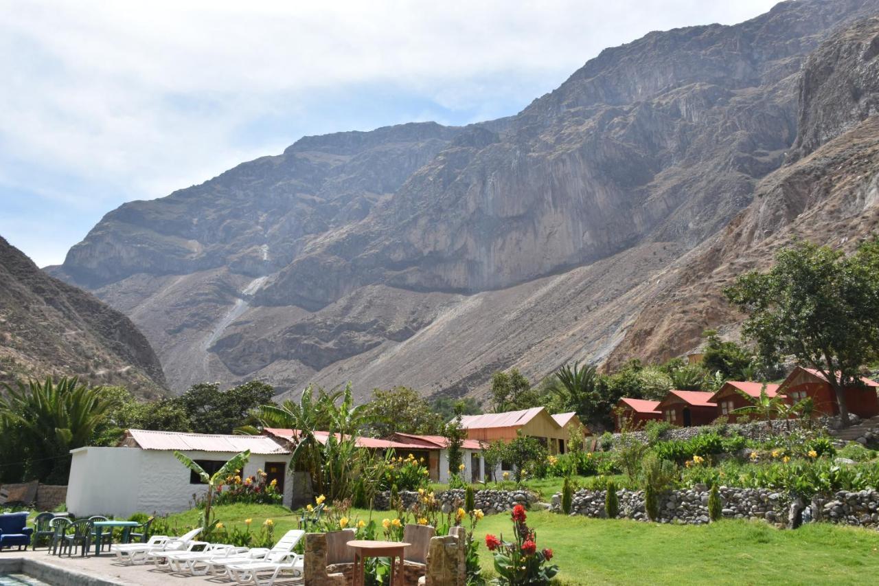 Oasis Paraiso Ecolodge Cabanaconde Εξωτερικό φωτογραφία